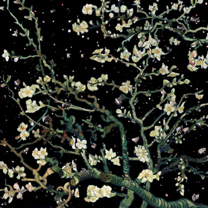 100歳のバツ1熟女
