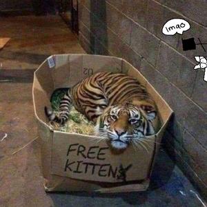 老师扒开🐻让我❌樱樱女子
