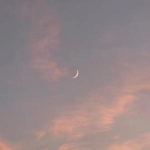 (越南女子别动队)免费
