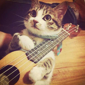 国产精品51麻豆
