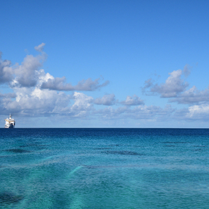 体育生张婉莹裸体在线
