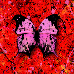 国产精品51麻豆
